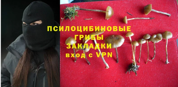 PSILOCYBIN Алексин